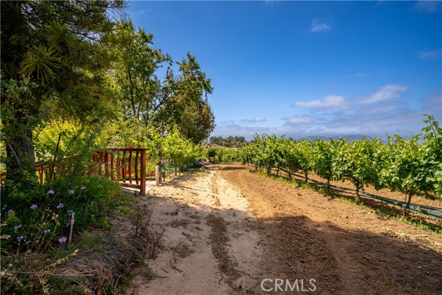 34150 Pauba Road, Temecula CA: https://media.crmls.org/medias/849068fa-a75b-45de-b9d8-1837ce128042.jpg