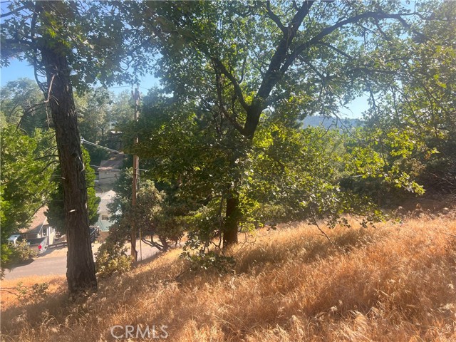 0 Arth Drive, Crestline, California 92325, ,Land,For Sale,0 Arth Drive,CRHD23124328