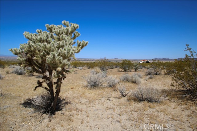 Detail Gallery Image 18 of 19 For 66400 29 Palms Hwy, Joshua Tree,  CA 92252 - – Beds | – Baths