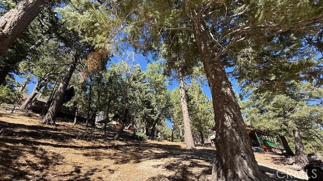 33112 Juniper Lane, Green Valley Lake CA: https://media.crmls.org/medias/849772b8-657a-4ef9-82dc-a9c533e1732e.jpg