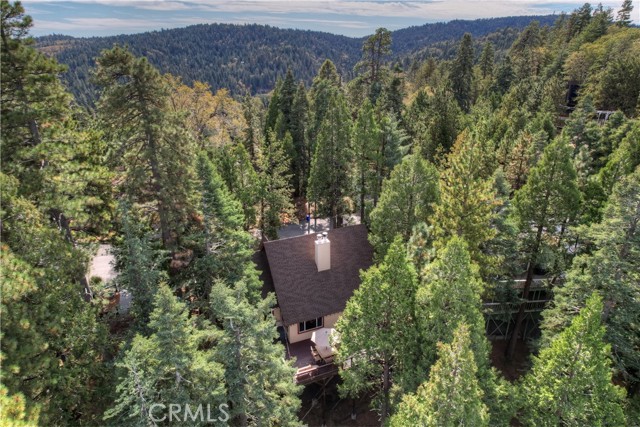 Detail Gallery Image 52 of 60 For 27276 Grizzly Ln, Lake Arrowhead,  CA 92352 - 4 Beds | 2 Baths