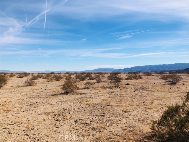 Detail Gallery Image 3 of 12 For 46 Desert Lily St, Joshua Tree,  CA 92252 - – Beds | – Baths