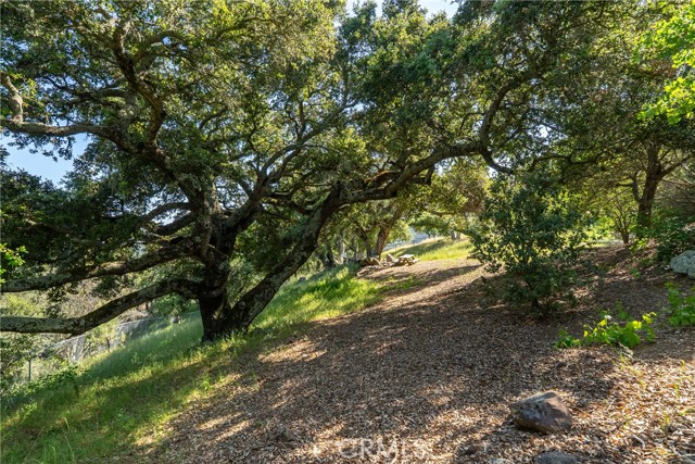 Detail Gallery Image 51 of 63 For 10885 San Marcos Rd, Atascadero,  CA 93422 - 4 Beds | 3/1 Baths