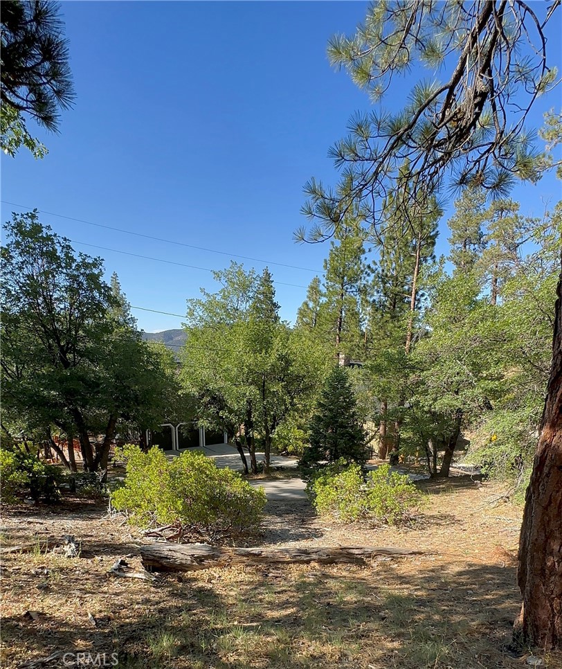 MLS #CV25165230 image #8