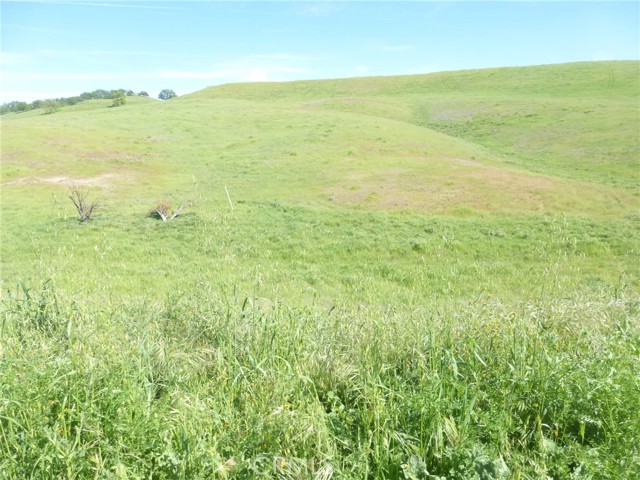 Detail Gallery Image 27 of 40 For 0 Douglas Rd. (Lot 43), San Miguel,  CA 93451 - – Beds | – Baths