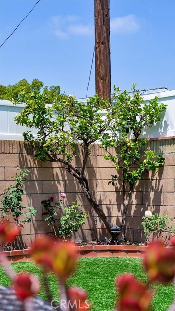 5215 E Monlaco Road, Long Beach CA: https://media.crmls.org/medias/84c3bc8c-04f4-489d-b314-681a0c5418f7.jpg