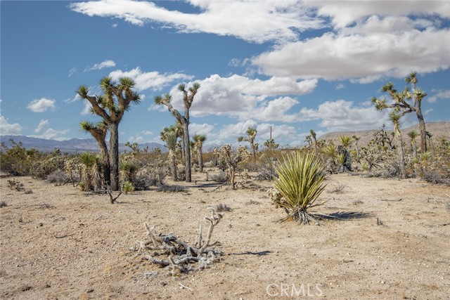 5292 Marvin Drive, Yucca Valley CA: https://media.crmls.org/medias/84c5ade2-bff6-4d2a-904b-819da3cce923.jpg