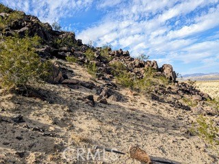 MLS #JT25222422 image #1