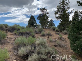 0 Ponderosa, Big Bear City, California 92314, ,Land,For Sale,0 Ponderosa,CROC20150732