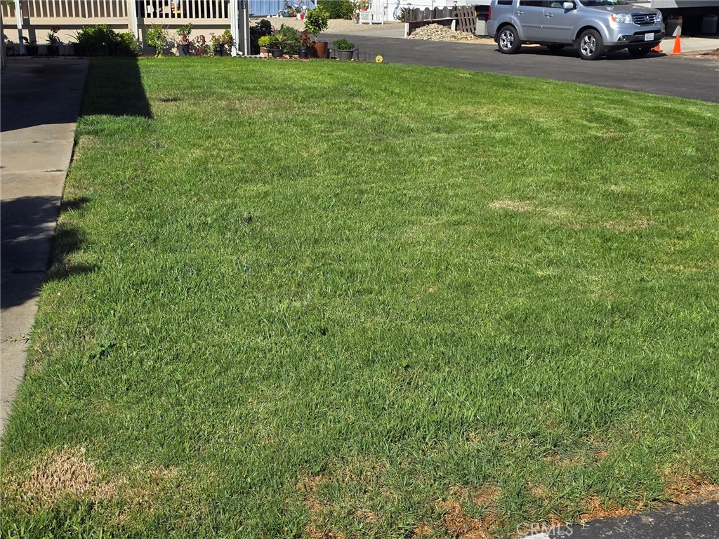 MLS #PI26216002 image #14
