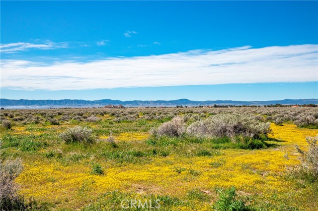 Detail Gallery Image 5 of 12 For 0 Avenue C-8, Antelope Acres,  CA 93536 - – Beds | – Baths