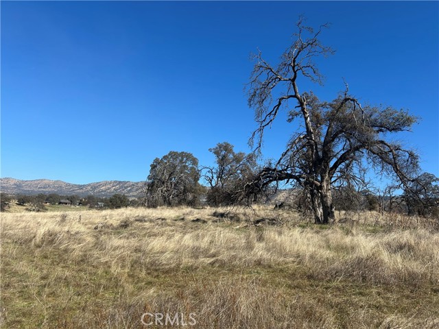 Detail Gallery Image 4 of 5 For 5 Ac Tinkers Penny Ln, Catheys Valley,  CA 95306 - – Beds | – Baths