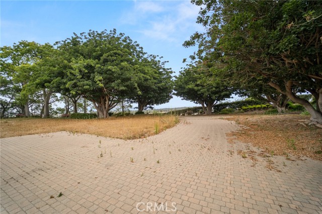 25 Encino Avenue, Camarillo CA: https://media.crmls.org/medias/84f3d91f-b9f6-400f-a956-18eec331e95d.jpg