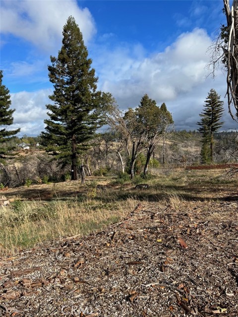 5520 Longview Drive, Paradise, CA, 95969 5520 Longview Drive, Paradise, CA, 95969