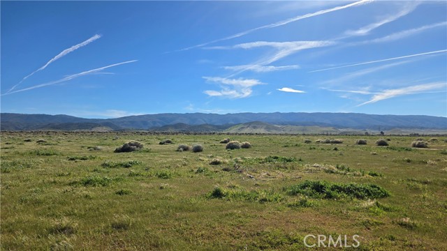 Detail Gallery Image 26 of 36 For 0 Vicinity Ave B12 & 265th St W, –,  CA 93536 - – Beds | – Baths