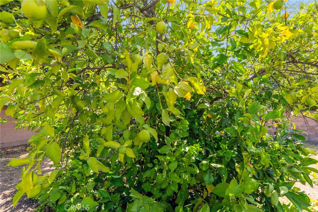 https://media.crmls.org/medias/84fcc4c1-0835-4d01-a658-7a08cd507286.jpg?preset=X-Large