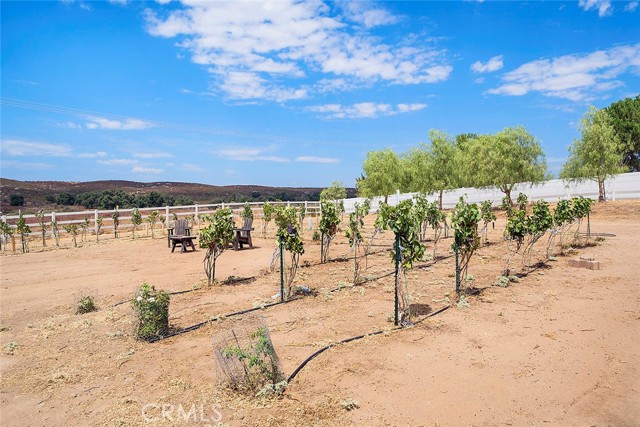 Detail Gallery Image 44 of 65 For 35798 Ballinger Rd, Sage,  CA 92544 - 4 Beds | 2 Baths