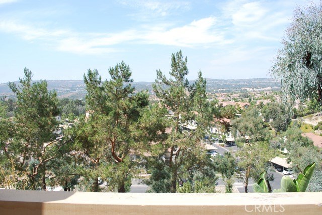 Detail Gallery Image 22 of 22 For 28117 via Luis, Laguna Niguel,  CA 92677 - 2 Beds | 2/1 Baths