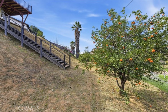 Detail Gallery Image 55 of 67 For 2715 Brockton, Riverside,  CA 92501 - 4 Beds | 2 Baths