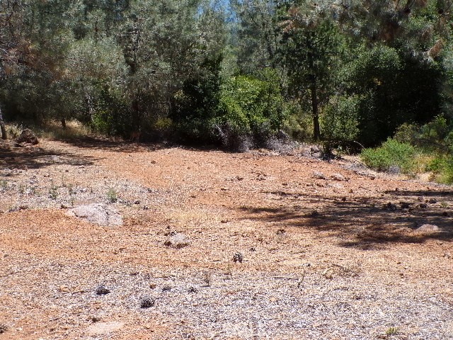 3440 Westridge Drive, Kelseyville CA: https://media.crmls.org/medias/850b211a-f3aa-4fb8-b2b0-4494c4a5cda7.jpg