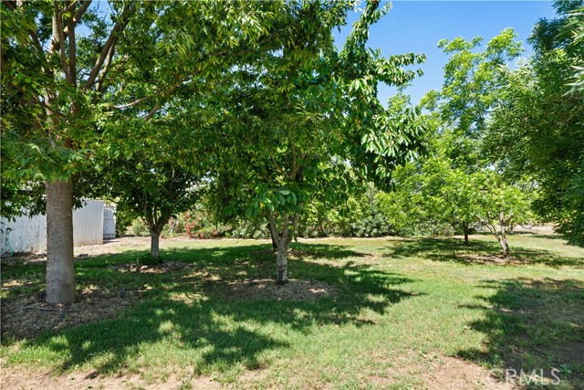 4190 County E Road, Orland CA: https://media.crmls.org/medias/850d7a67-7d3e-4dba-8773-b56520335dba.jpg