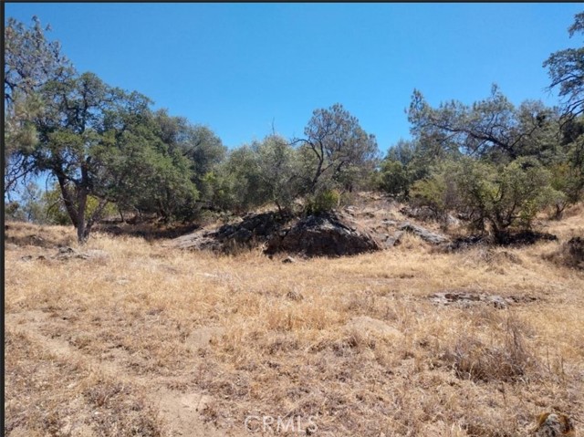 1779 Revis Road, Coarsegold, California 93614, ,Land,For Sale,1779 Revis Road,CRFR23207382