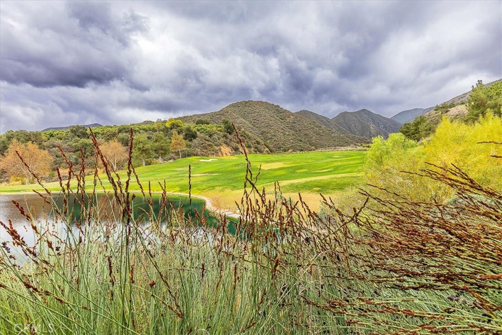 MLS #SW25253798 image #44