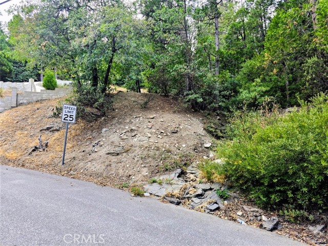 Detail Gallery Image 2 of 5 For 0 Zurich Dr, Lake Arrowhead,  CA 92352 - – Beds | – Baths