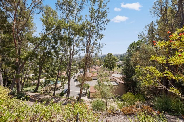 Detail Gallery Image 23 of 27 For 316 S Vista Del Canon, Anaheim Hills,  CA 92807 - 2 Beds | 2/1 Baths
