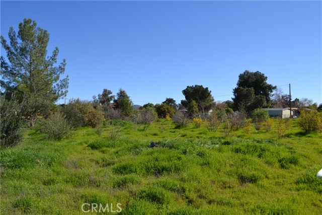 Image 19 of 38 For 29580 Patelli Way