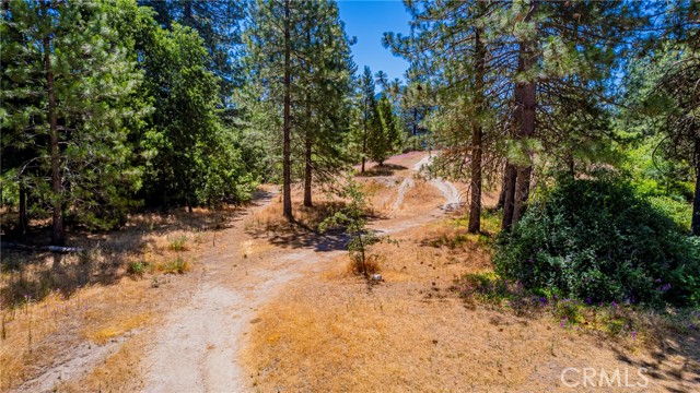 Detail Gallery Image 53 of 55 For 40333 Road 222 #102,  Bass Lake,  CA 93604 - 4 Beds | 2/1 Baths