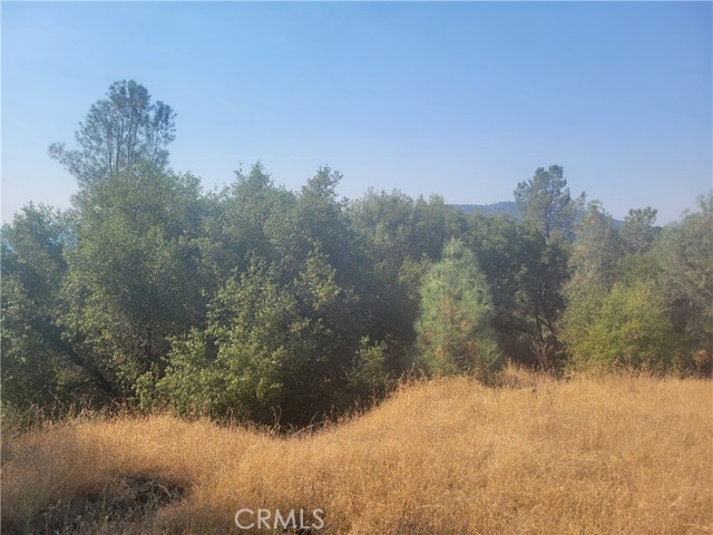 Detail Gallery Image 5 of 9 For 17 Pine Tree, North Fork,  CA 93643 - – Beds | – Baths