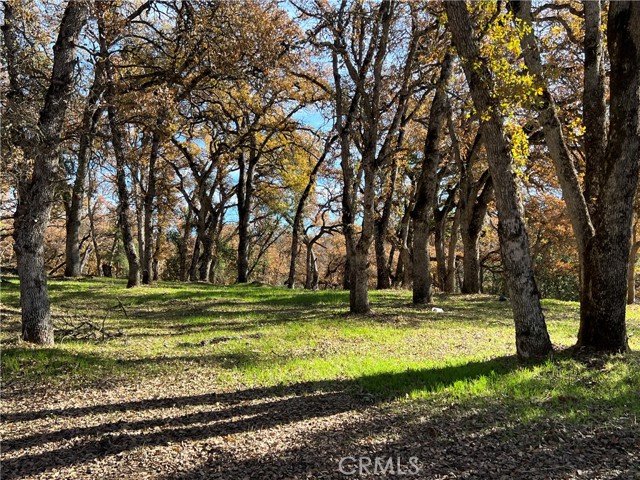 Detail Gallery Image 8 of 11 For 6060 Old Highway 53, Clearlake,  CA 95422 - – Beds | – Baths