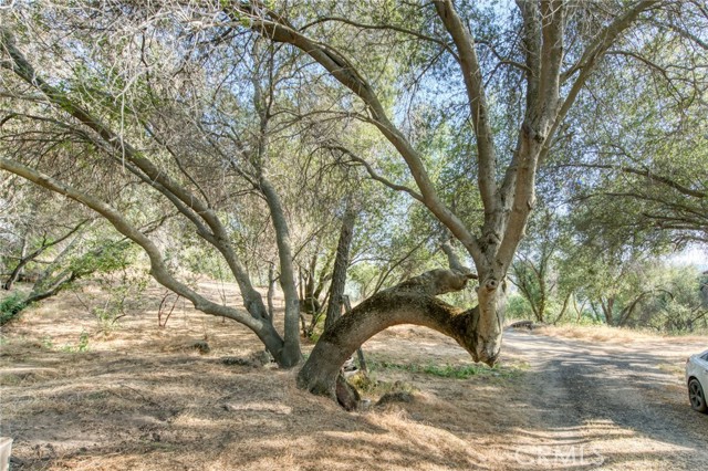 Detail Gallery Image 8 of 72 For 43867 Trabuco Ct, Coarsegold,  CA 93614 - 4 Beds | 4 Baths