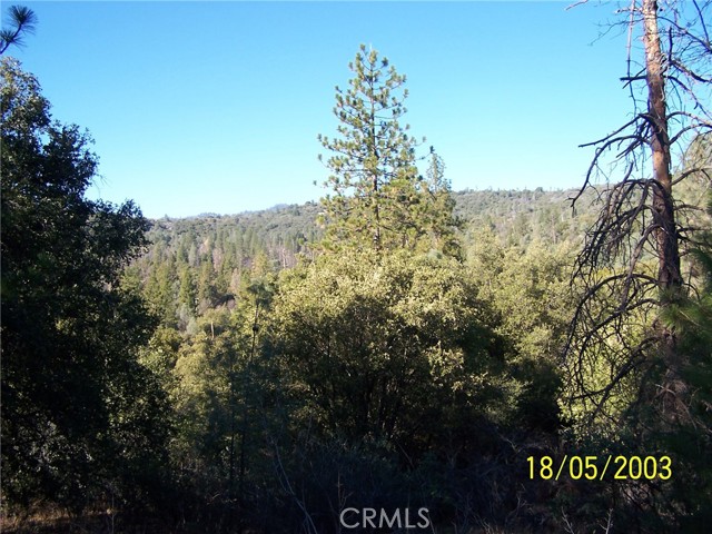 Front Image Thumbnail for CRFR26015054