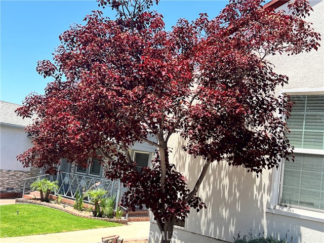 1923 W 115th Street, Los Angeles CA: https://media.crmls.org/medias/85312ae3-d8c3-4c2a-a28b-1903887409ef.jpg