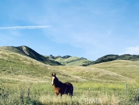 https://media.crmls.org/medias/8531eafe-94f7-49e5-94e6-2937d37565a4.jpg?preset=X-Large