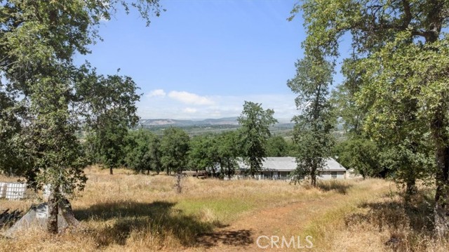 Detail Gallery Image 38 of 49 For 2588 Pinecrest Rd, Oroville,  CA 95966 - 4 Beds | 3 Baths
