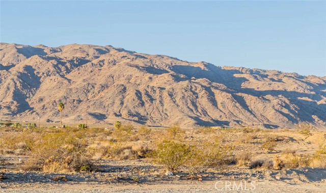 Detail Gallery Image 58 of 66 For 74847 29 Palms Highway, Twentynine Palms,  CA 92277 - 4 Beds | 3 Baths