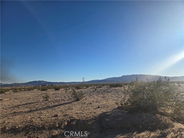 Detail Gallery Image 2 of 6 For 1234 Amboy, Twentynine Palms,  CA 92277 - – Beds | – Baths