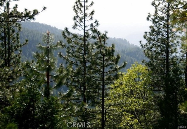 Front Image Thumbnail for CRFR26059414