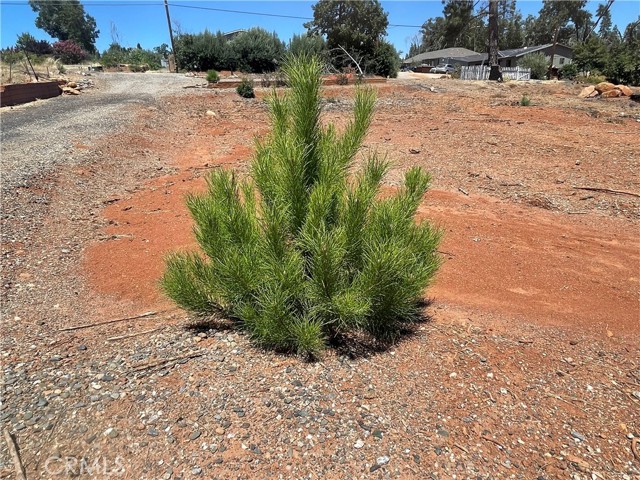 956 Pearson Road, Paradise CA: https://media.crmls.org/medias/853ca16e-e492-46d0-82d7-c9a5b644ed9d.jpg