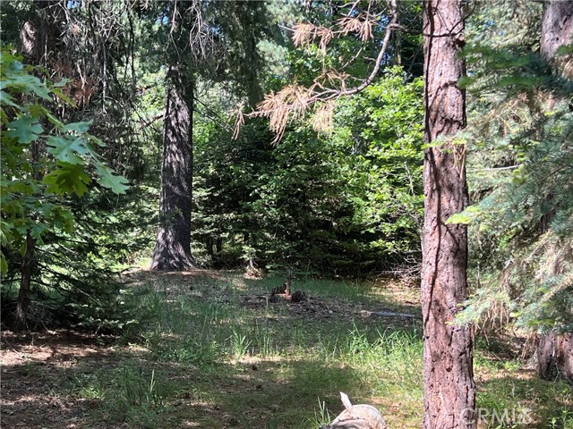 28879 Sycamore Drive, Lake Arrowhead CA: https://media.crmls.org/medias/853ec3ad-9009-4a47-807a-0c3f3a5659f0.jpg