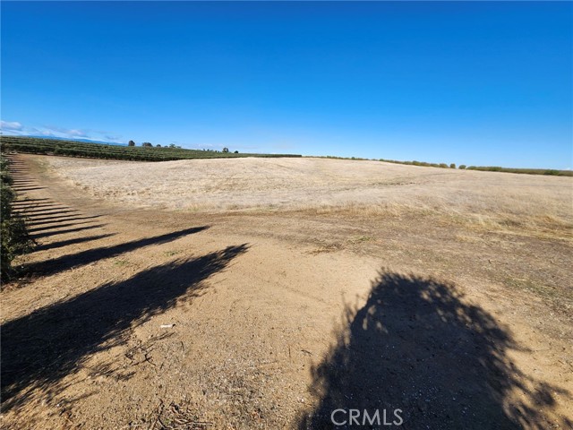 Detail Gallery Image 14 of 22 For 0 087-250-008-000, Corning,  CA 96021 - – Beds | – Baths