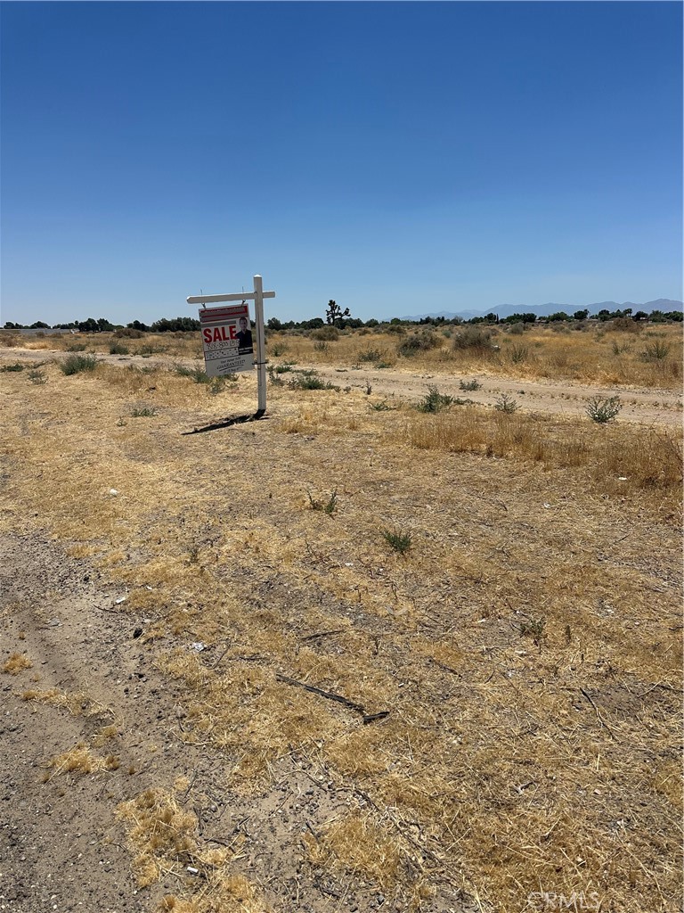 MLS #SR26132946 image #2
