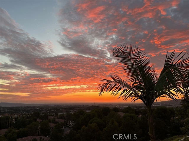 Detail Gallery Image 37 of 37 For 37 La Sordina, Rancho Santa Margarita,  CA 92688 - 4 Beds | 2/1 Baths