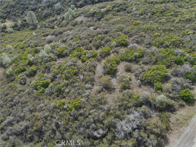 982 Watertrough Road, Clearlake Oaks, California 95423, ,Land,For Sale,982 Watertrough Road,CRLC24032287