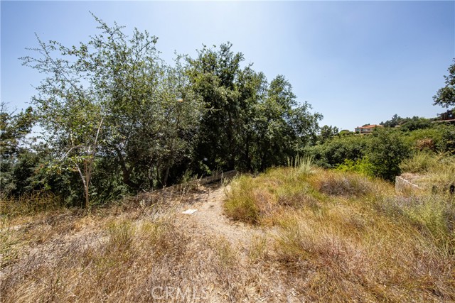 3577 Shaw Ranch Road, Pasadena CA: https://media.crmls.org/medias/85635c0e-5256-4107-96dd-6637f7ffc420.jpg