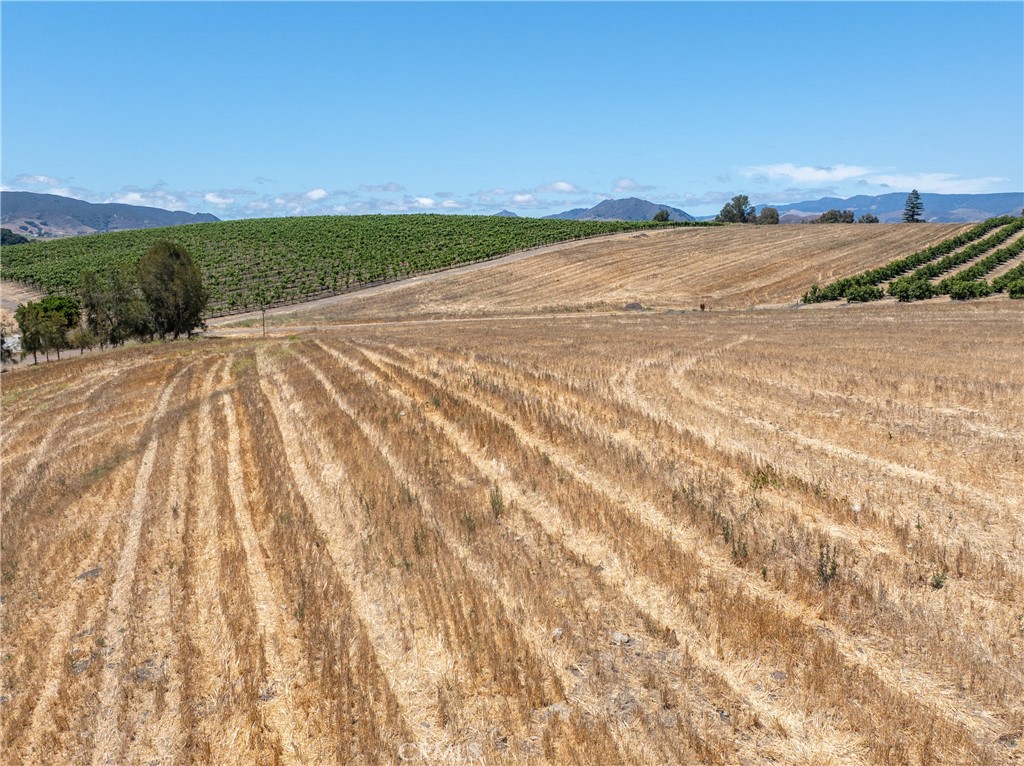 MLS #NS25194884 image #23