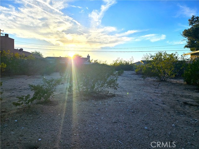 29 Palms, CA 92277